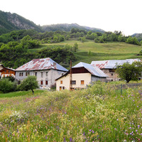 Petite Serenne