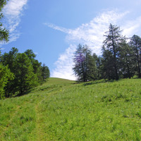 Alpe entre Serennes et Fouillouse