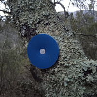 Les œillets platiques du chemin de chasseur, à l'ouverture sur le paysage, prendre la sente balisée seulement à la peinture