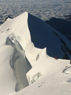  [Concours Photo Sophie 2023] Castor sur le fil