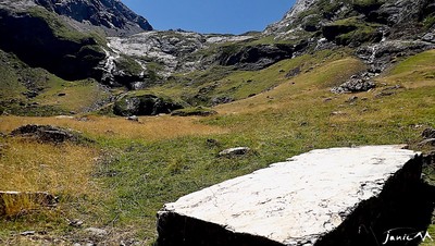 Génépi des Alpes - Grand Rubren 40% vol