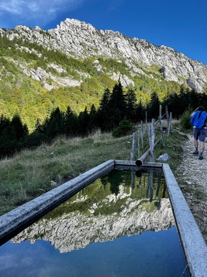 [Concours Photo Sophie 2023] Roc des Bœufs devant l’abreuvoir