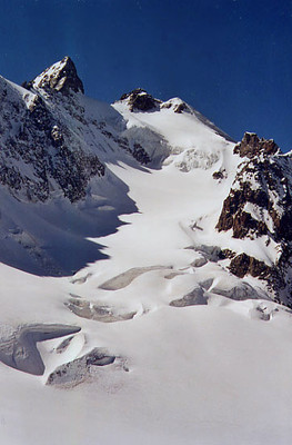 Les Agneaux