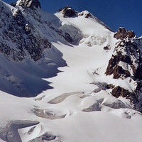 Les Agneaux