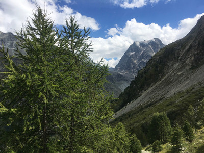 Mont Collon Mont Collon