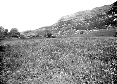 Céüse vue de Sigoyer vers 1925