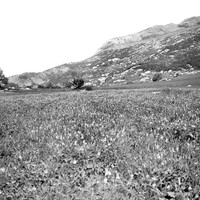 Céüse vue de Sigoyer vers 1925