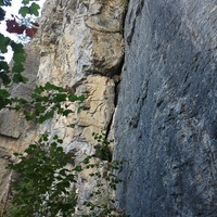 Jardin du trad