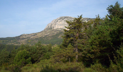 mon Verdon adoré 
