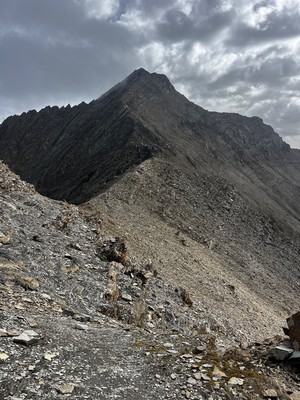 Vue d'ensemble depuis la baisse de Charbonnière Vue d'ensemble depuis la baisse de Charbonnière