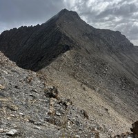 Vue d'ensemble depuis la baisse de Charbonnière