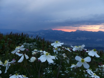 [Concours Photo Sophie 2023] Coucher de soleil aux Jarlons
