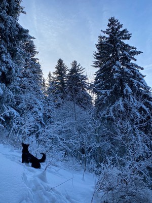 [Concours Photo Sophie 2023] Retour aux instincts primitifs