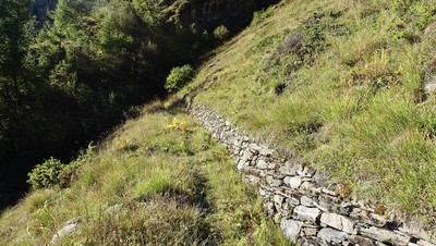 Chemin Chemin