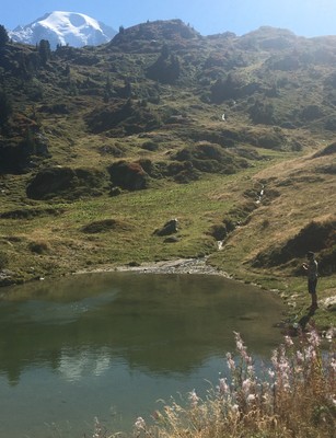  [Concours Photo Sophie 2023] Et au milieu coule un glacier