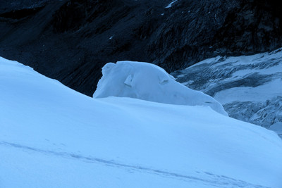 [Concours Photo Sophie 2023] Descente de Castor, un chameau sur le chemin.
