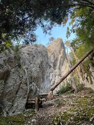 Belle étoile Belle étoile