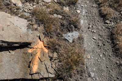 [Concours Photo Sophie 2023] Le trail, c'est de la Bombe!
