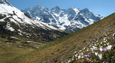 Groupe de la Meije vu du Lautaret