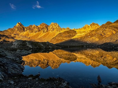 [Concours Photo Sophie 2023] En réflexion