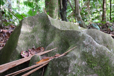 [Concours Photo Sophie 2023] Montagne mignature, Guadeloupe.