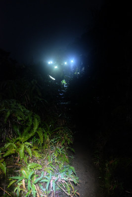 [Concours Photo Sophie 2023] Marche nocturne, Guadeloupe.