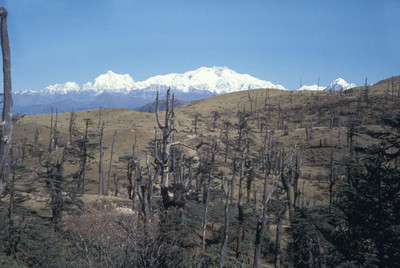 Jannu et Kanchengjunga