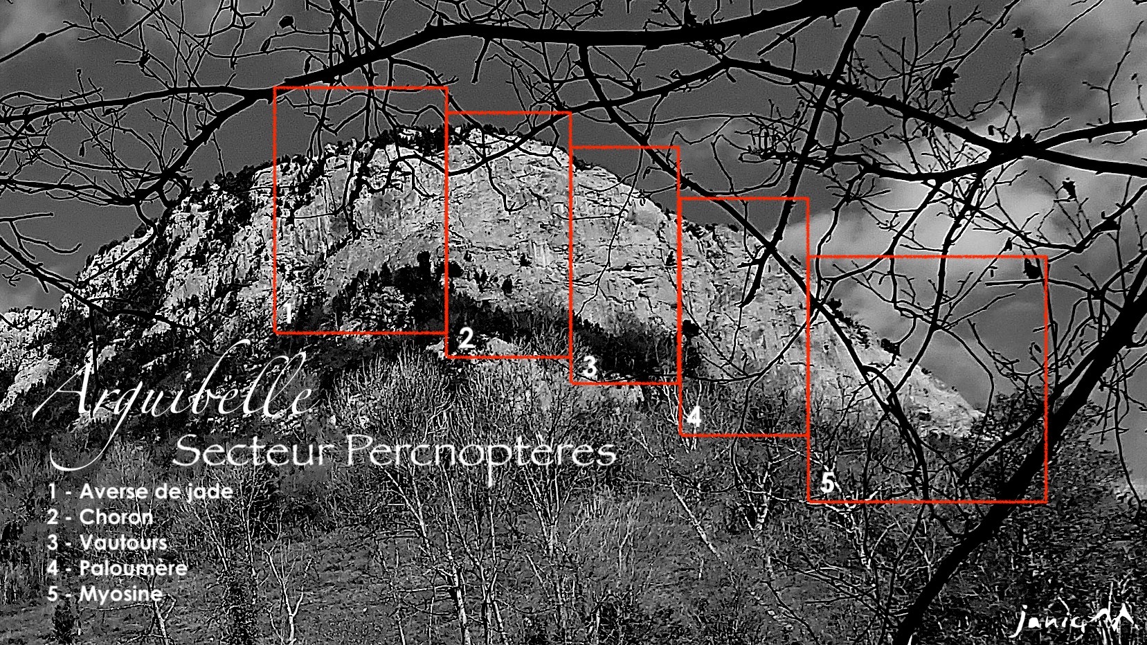 Arguibelle - Percnoptères - Les secteurs