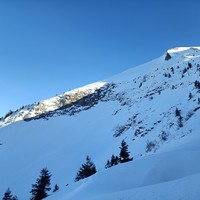 Descente Directe