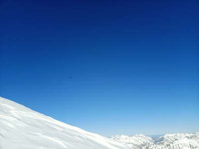 Gypaètes ? Juste avant le sommet