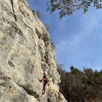 Alixe dans Gyro
