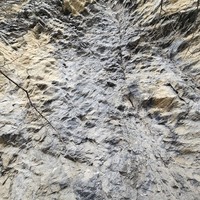 L'araignée toujours en conditions 