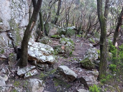 Avril 2024, état du marquage de la bifurcation du sentier des Gardes. Avril 2024, état du marquage de la bifurcation du sentier des Gardes.