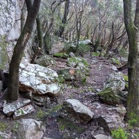 Avril 2024, état du marquage de la bifurcation du sentier des Gardes.