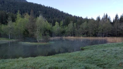 Le marais des Seiglières Le marais des Seiglières