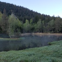 Le marais des Seiglières 
