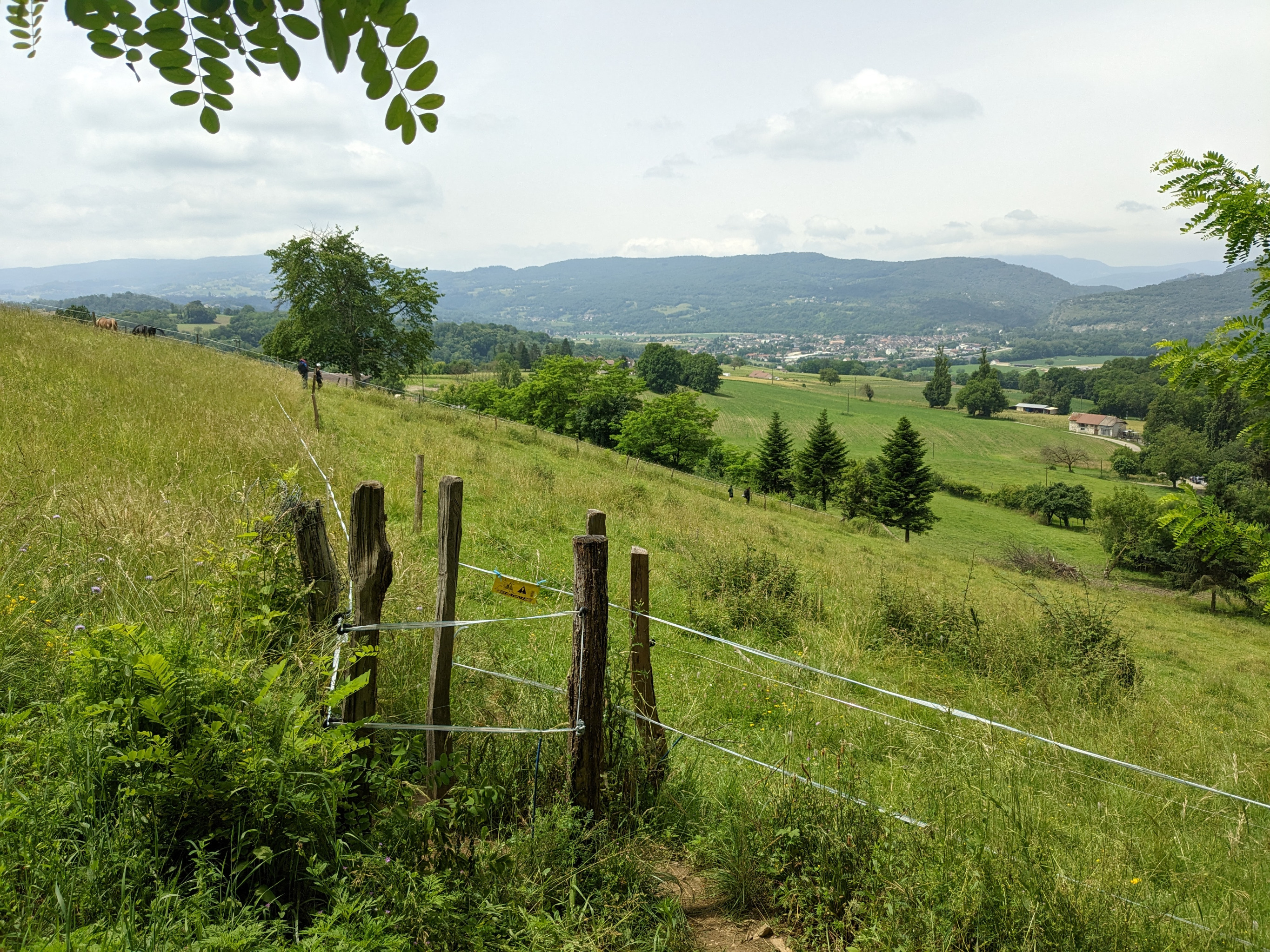 Regard en arrière sur le sentier permettant d'accéder à la forêt et au site