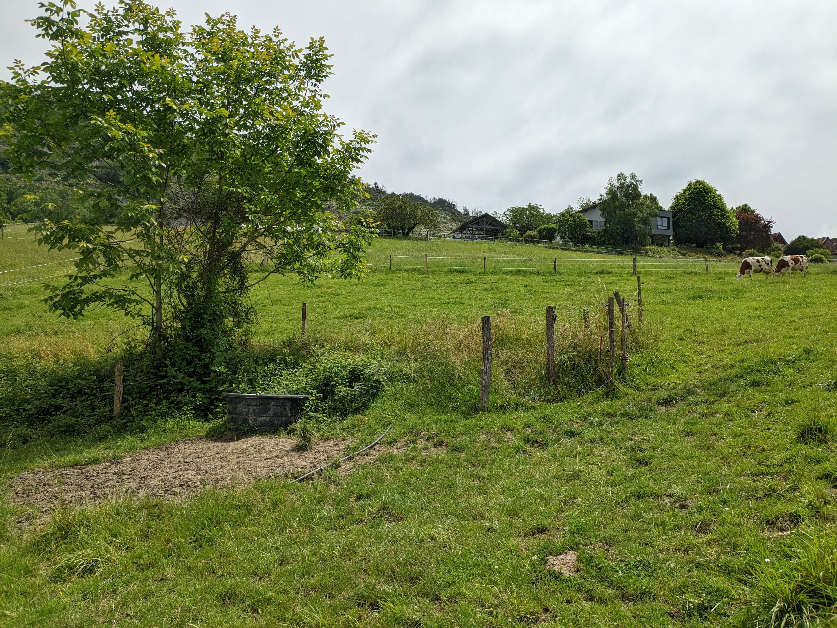 Accès à la sente permettant de rejoindre le site par un espace dans les barrières situées derrère l'abreuvoir
