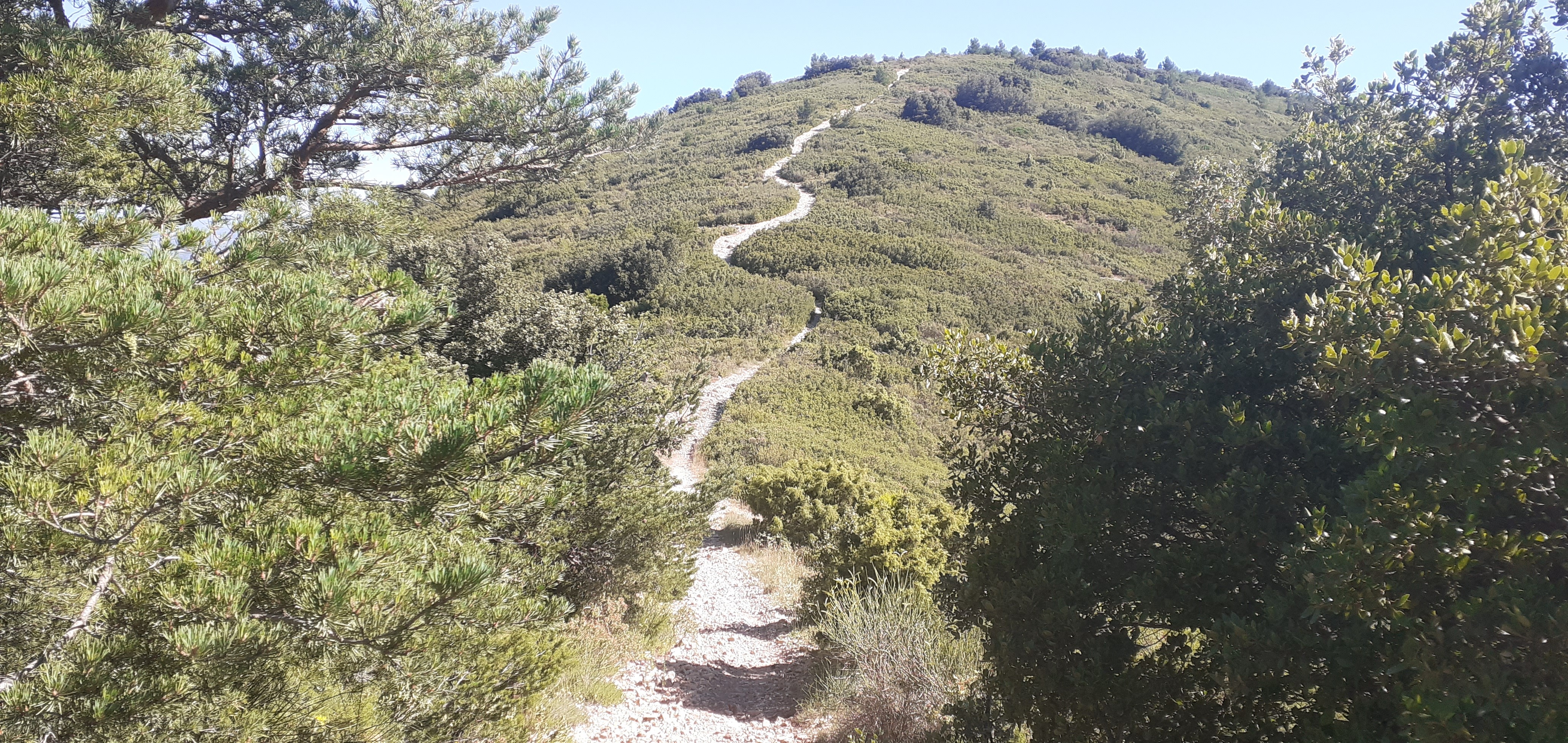 Le col des Ouides et le sentier en direction du Pilon du Roi