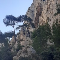 Le Pouce vu du sentier du vallon d'En-Vau en direction de la calanque 