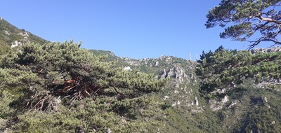 La cime des Cabanelles au centre
