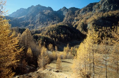 La Taillante, par omα La Taillante, par omα