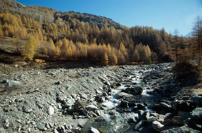 Vallée du Guil, par omα Vallée du Guil, par omα