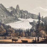 Glacier des Bois par Adrien Cuvillier