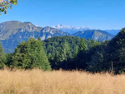 [Concours Photo Sophie 2024] Vue sur le Triglav en descendant de Porezen 