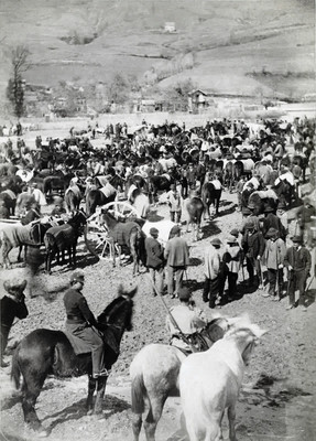 La foire aux bestiaux à Embrun par Gabriel Loppé en 1888 La foire aux bestiaux à Embrun par Gabriel Loppé en 1888