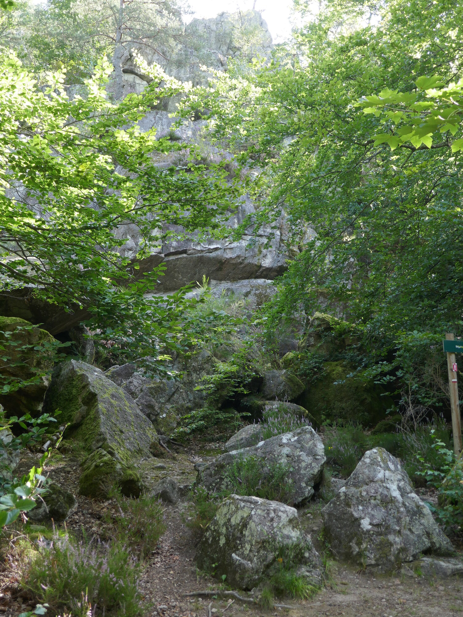 Falaise de Brisecou