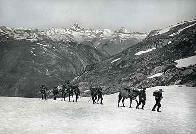 Avec les mulets, par Jean Gaberell. Au fond, Finsteraarhorn et Lauteraarhorn. Avec les mulets, par Jean Gaberell. Au fond, Finsteraarhorn et Lauteraarhorn.