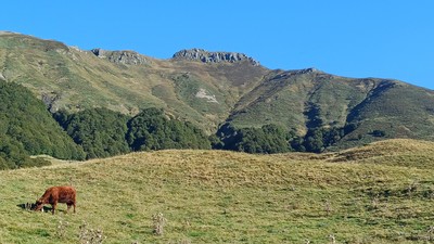 Le Peyre-Arse , Face Sud . Le Peyre-Arse , Face Sud .