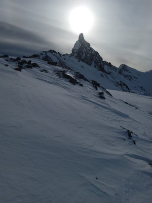 [Concours Photo Sophie 2024] La tête de Toillies 